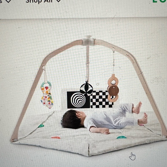 Play Gym - Engaging Multi-Color Learning Toy - Picture 7 of 7